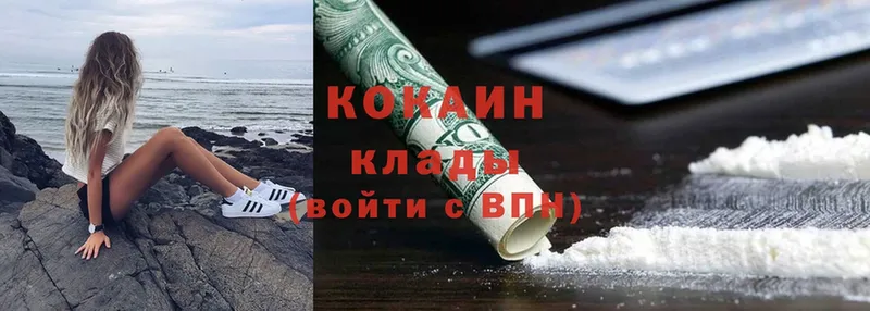 Cocaine FishScale  купить наркоту  Касимов 